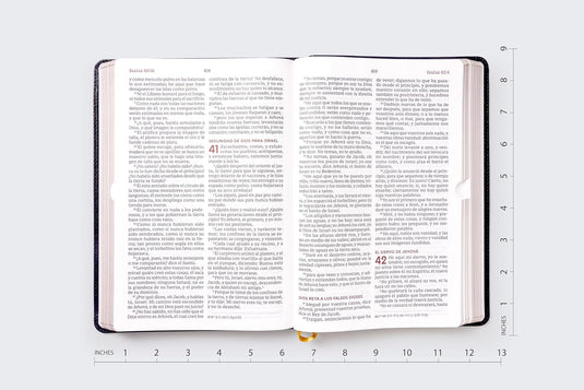 Biblia del Ministro RVR60, Letra Gigante, imitación piel negro