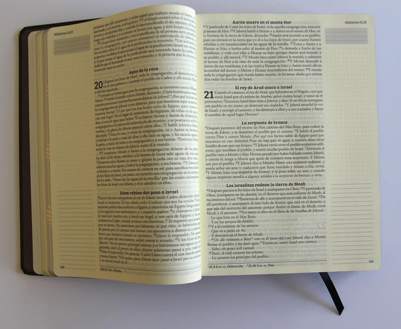 Cargue la imagen en el visor de la galería, Biblia de Apuntes RVR 1960, Tapa dura negra con oro
