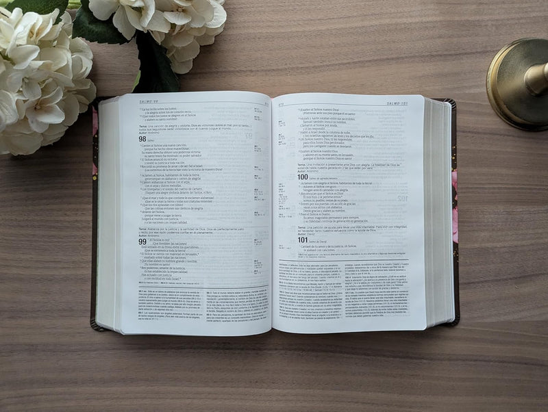 Cargue la imagen en el visor de la galería, Biblia de estudio del Diario Vivir NTV, SentiPiel café/rosa
