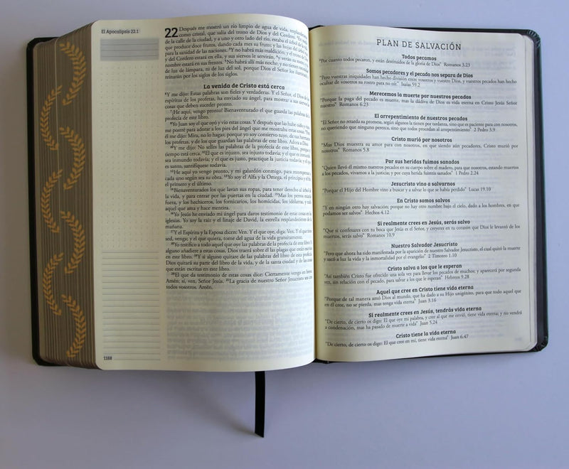 Cargue la imagen en el visor de la galería, Biblia de Apuntes RVR 1960, Tapa dura negra con oro
