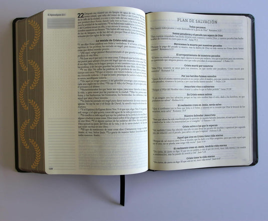 Biblia de Apuntes RVR 1960, Tapa dura negra con oro