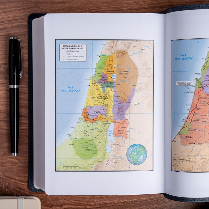 Cargue la imagen en el visor de la galería, Biblia RVR 1960, Letra Grande, Tamaño Manual, edición especial, león ceniza
