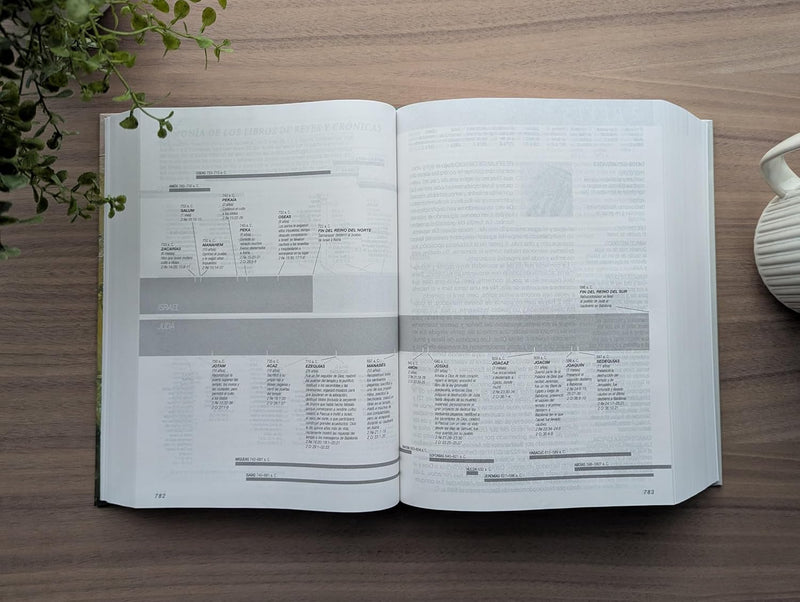 Cargue la imagen en el visor de la galería, Biblia de estudio del diario vivir NTV, Letra Grande, Tapa dura
