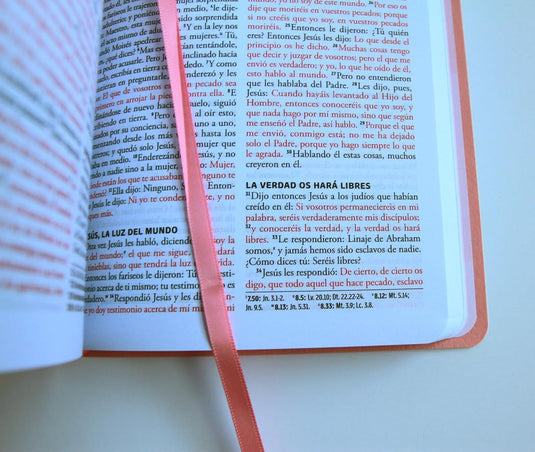 Biblia RVR 1960 para regalos y premios, imitación piel rosada