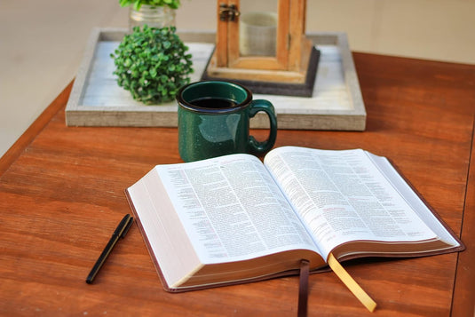 Biblia de Referencia Thompson RVR, Leathersoft café