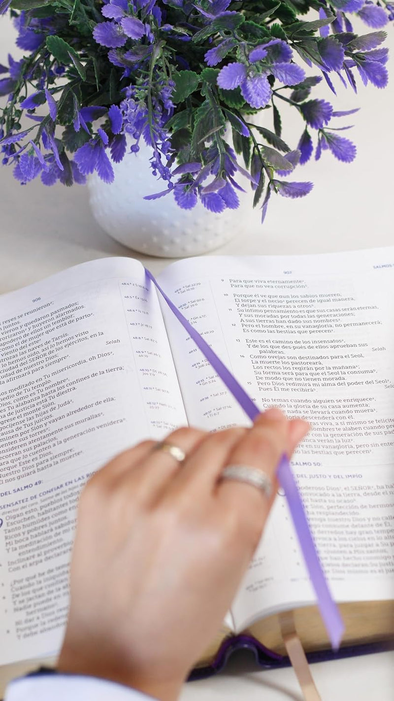 Cargue la imagen en el visor de la galería, Biblia para el estudio inductivo NBLA, Interior a dos colores, imitación piel morado
