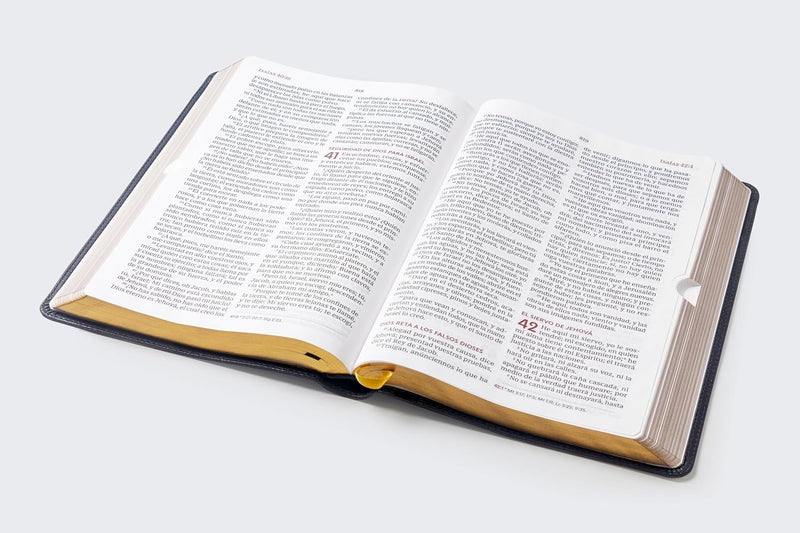 Cargue la imagen en el visor de la galería, Biblia del Ministro RVR60, Letra Gigante, imitación piel negro
