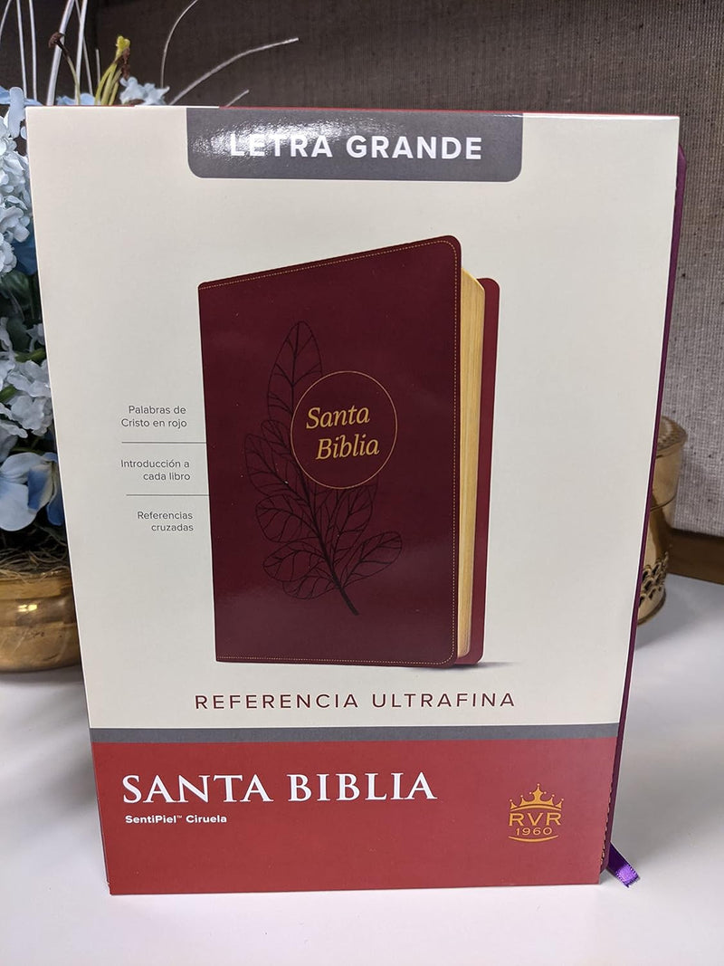 Cargue la imagen en el visor de la galería, Biblia RVR 1960, Edición de referencia, ultrafina, Letra Grande, imitación piel ciruela
