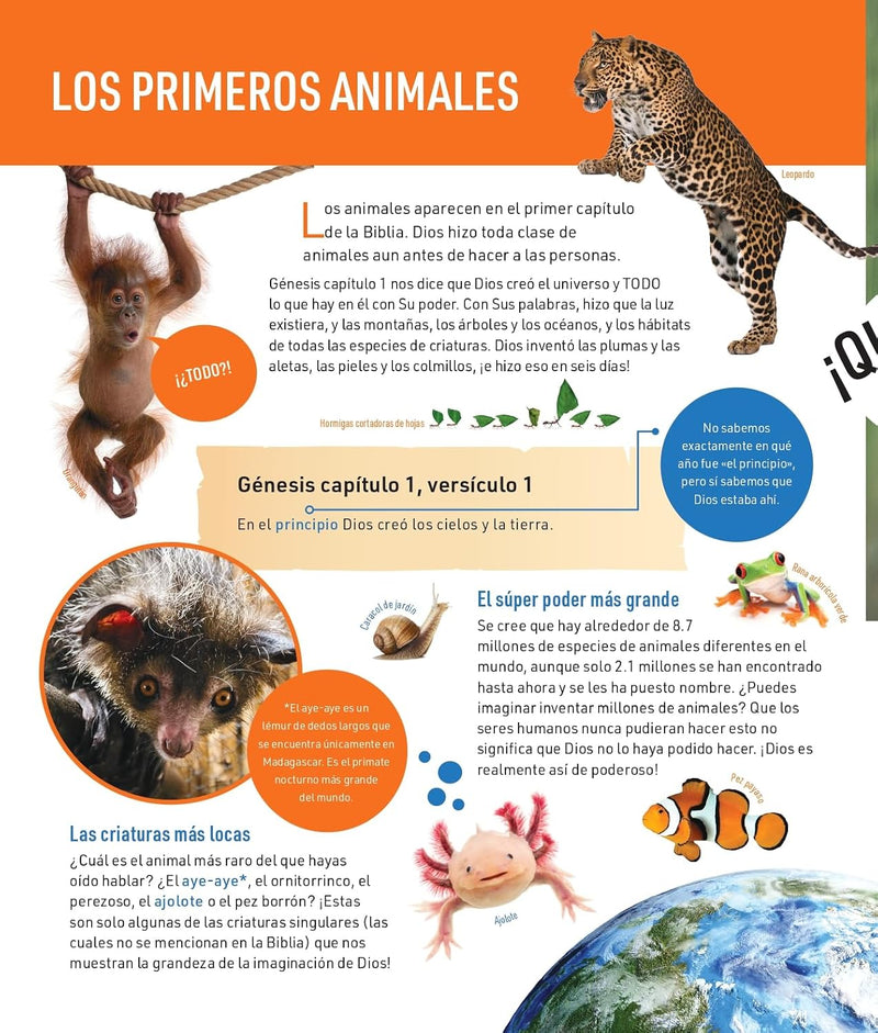 Cargue la imagen en el visor de la galería, Todo sobre los animales de la Biblia
