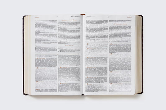 Biblia de Estudio Patrística RVR, imitación piel marrón
