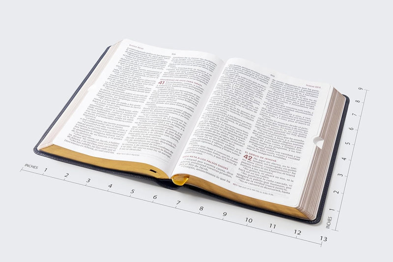 Cargue la imagen en el visor de la galería, Biblia del Ministro RVR60, Letra Gigante, imitación piel negro
