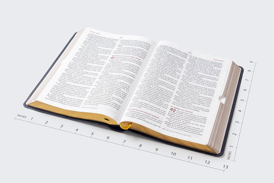 Biblia del Ministro RVR60, Letra Gigante, imitación piel negro