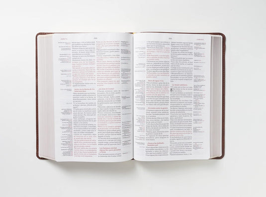 Biblia de Referencia Thompson RVR, Leathersoft café