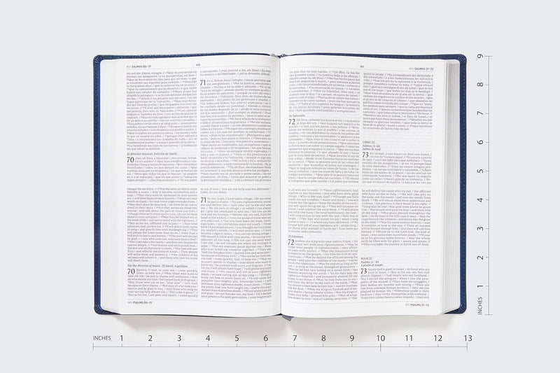Cargue la imagen en el visor de la galería, Biblia Bilingüe NIV/NVI, imitación piel azul (Bilingual Bible leathersoft navy)
