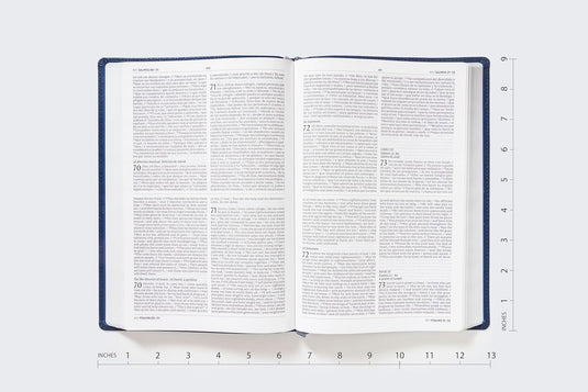 Biblia Bilingüe NIV/NVI, imitación piel azul (Bilingual Bible leathersoft navy)