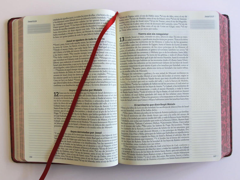 Cargue la imagen en el visor de la galería, Biblia de Apuntes RVR 1960, Tapa dura vino
