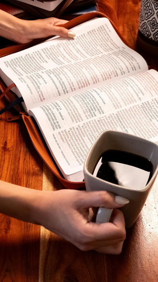 Biblia RVR 1960, Letra Súper Gigante, Cierre zíper, imitación piel café