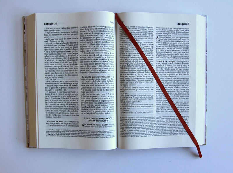 Cargue la imagen en el visor de la galería, Biblia Católica, Letra Grande, Tapa dura/tela rosada con flores
