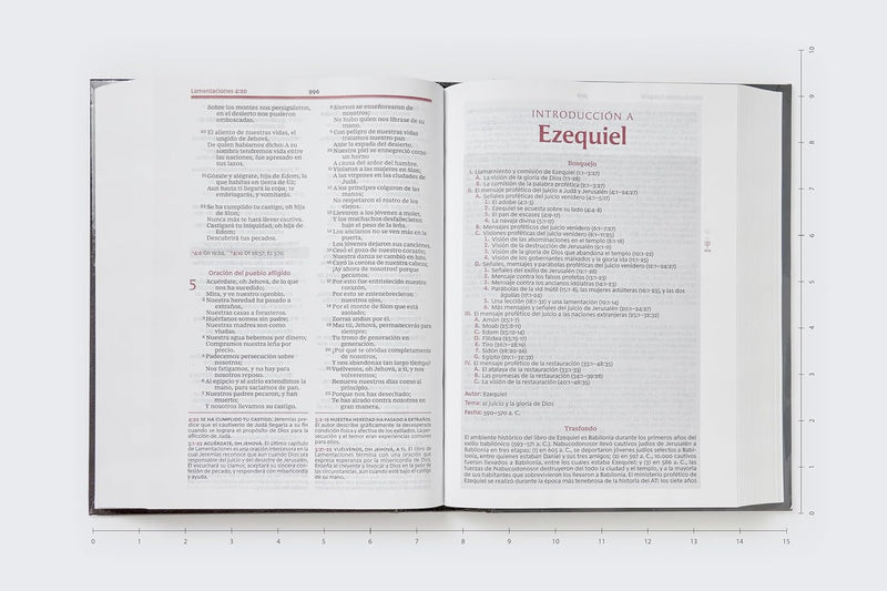 Cargue la imagen en el visor de la galería, Biblia de estudio de la Vida Plena RVR 1960, Edición clásica, Tapa dura negra
