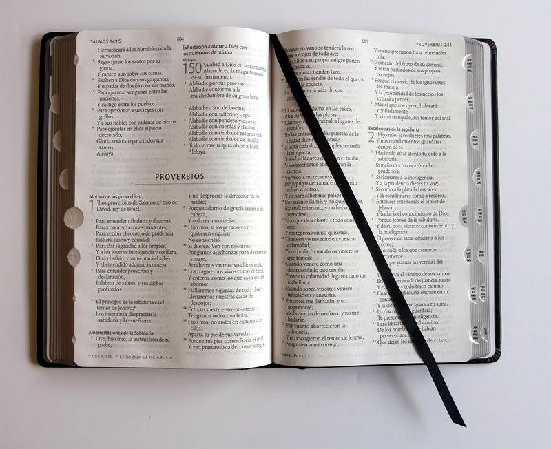 Cargue la imagen en el visor de la galería, Biblia RVR 1960 León de Judá, Letra Grande, con índice, edición especial plata
