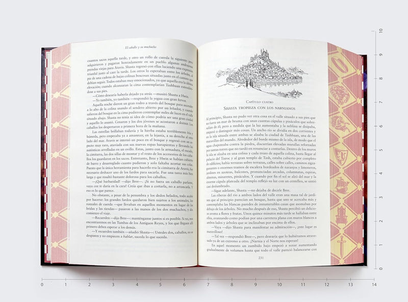 Cargue la imagen en el visor de la galería, Las Crónicas de Narnia, Edición de lujo, tapa dura con estuche: 7 libros en 1
