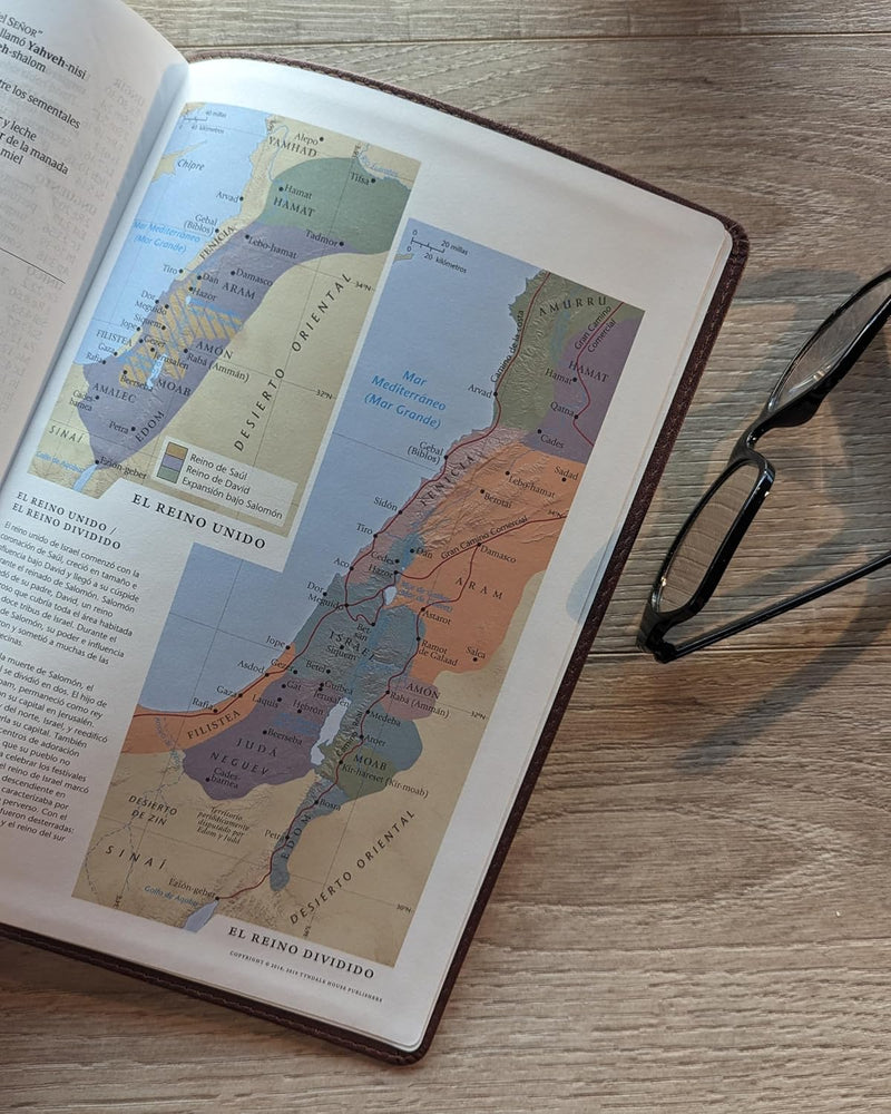 Cargue la imagen en el visor de la galería, Biblia NTV, Tamaño Manual, Letra Súper Gigante, imitación piel café Cruz
