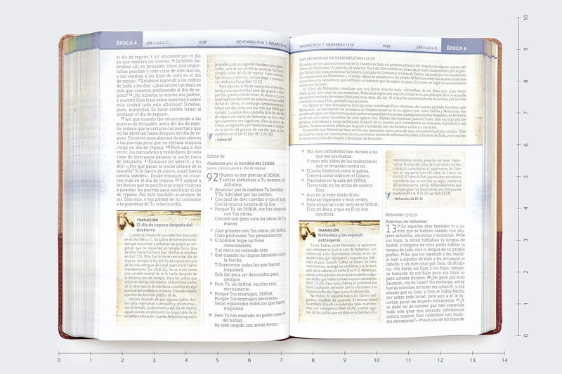 Cargue la imagen en el visor de la galería, Biblia Cronológica de Estudio NBLA, imitación piel tonos café
