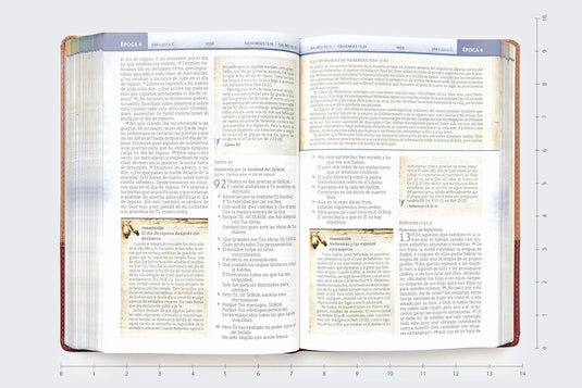 Biblia Cronológica de Estudio NBLA, imitación piel tonos café