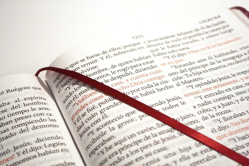 Cargue la imagen en el visor de la galería, Biblia ultrafina RVR 1909, Letra Súper Gigante, símil piel vino
