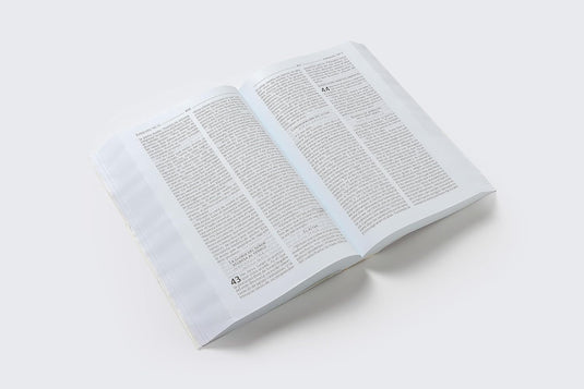 Biblia Católica, Edición Económica, Tapa Rústica, Confort Print