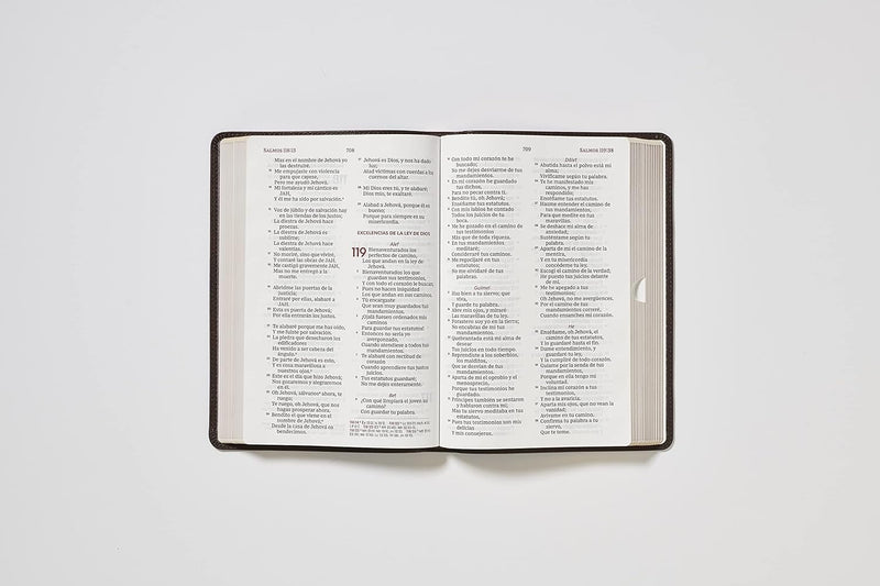 Cargue la imagen en el visor de la galería, Biblia del Ministro RVR 1960, Letra Gigante, imitación piel café
