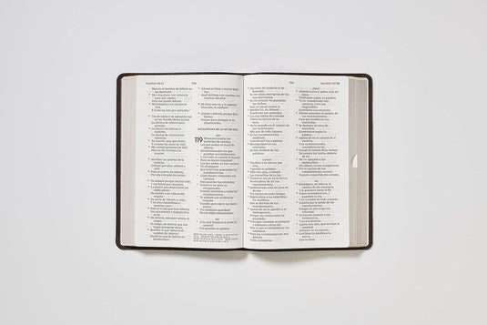 Biblia del Ministro RVR 1960, Letra Gigante, imitación piel café