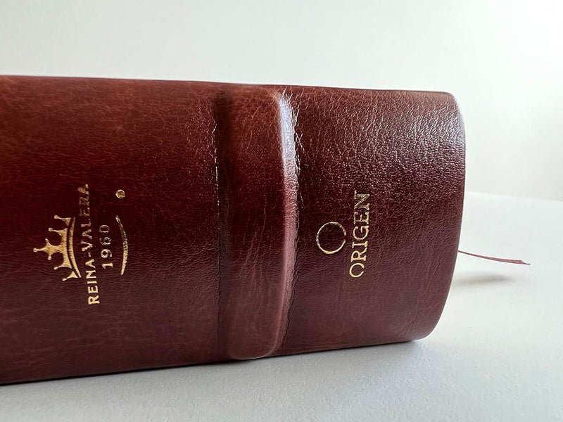 Cargue la imagen en el visor de la galería, Biblia de Estudio Dake RVR 1960, piel marrón
