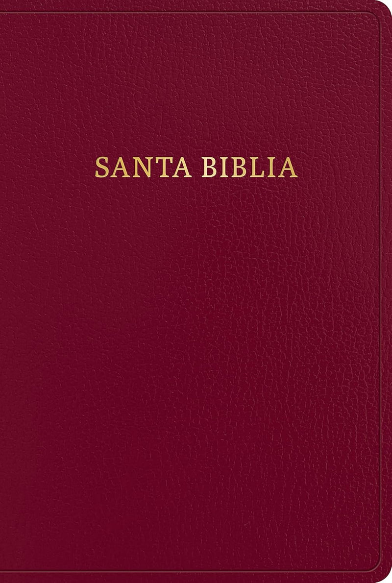 Cargue la imagen en el visor de la galería, Biblia RVR 1960, Letra Gigante, imitación piel borgoña

