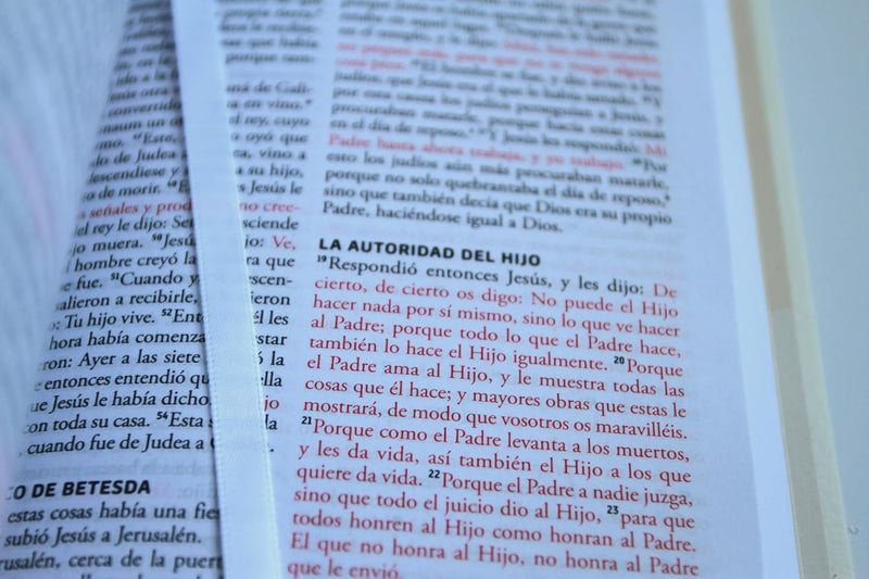 Cargue la imagen en el visor de la galería, Biblia RVR 1960 para regalos y premios, imitación piel blanca
