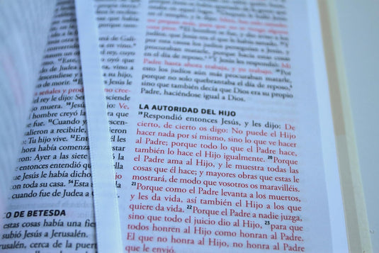 Biblia RVR 1960 para regalos y premios, imitación piel blanca
