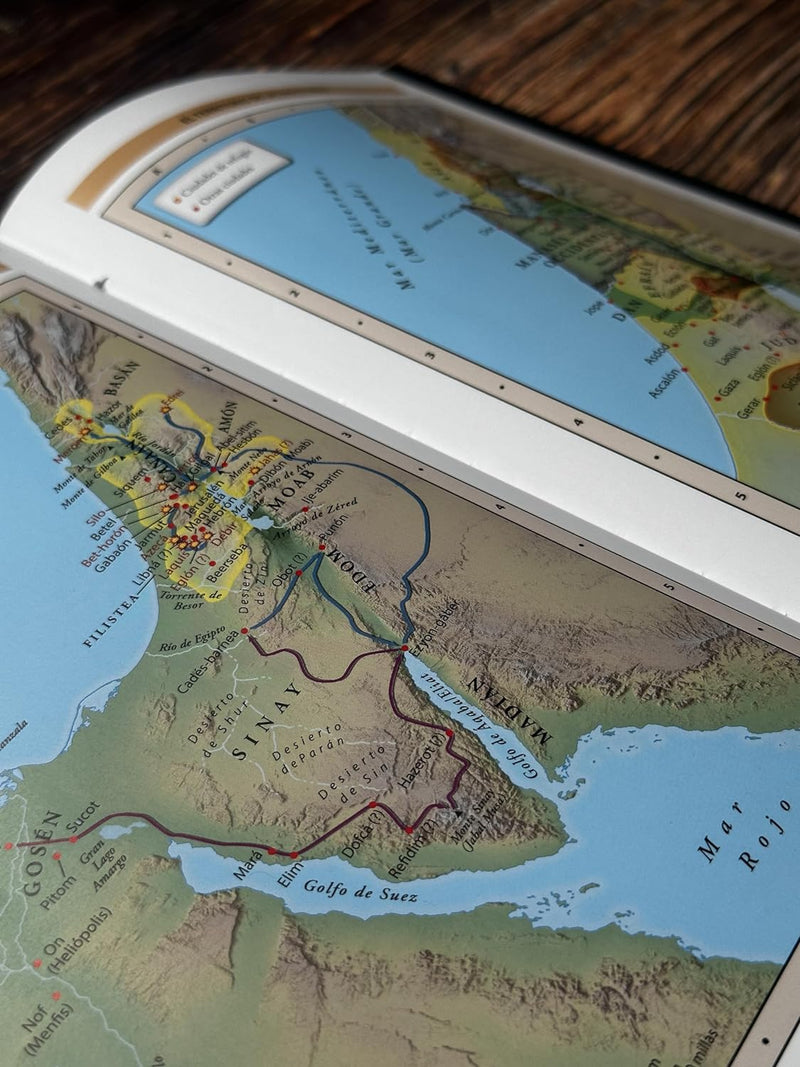 Cargue la imagen en el visor de la galería, Biblia de Estudio Patrística RVR, tapa dura
