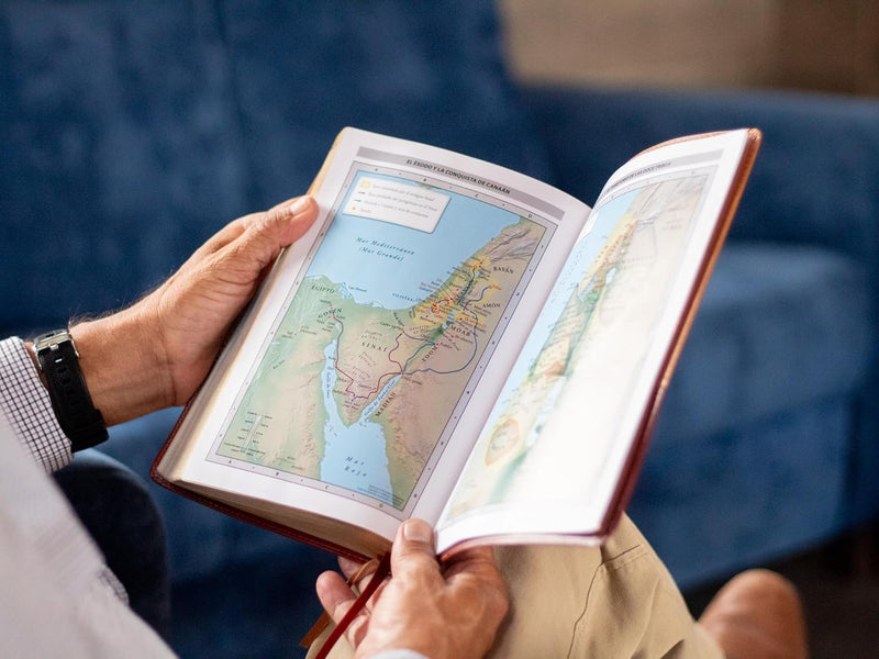 Cargue la imagen en el visor de la galería, Biblia Cronológica de Estudio NBLA, imitación piel tonos café
