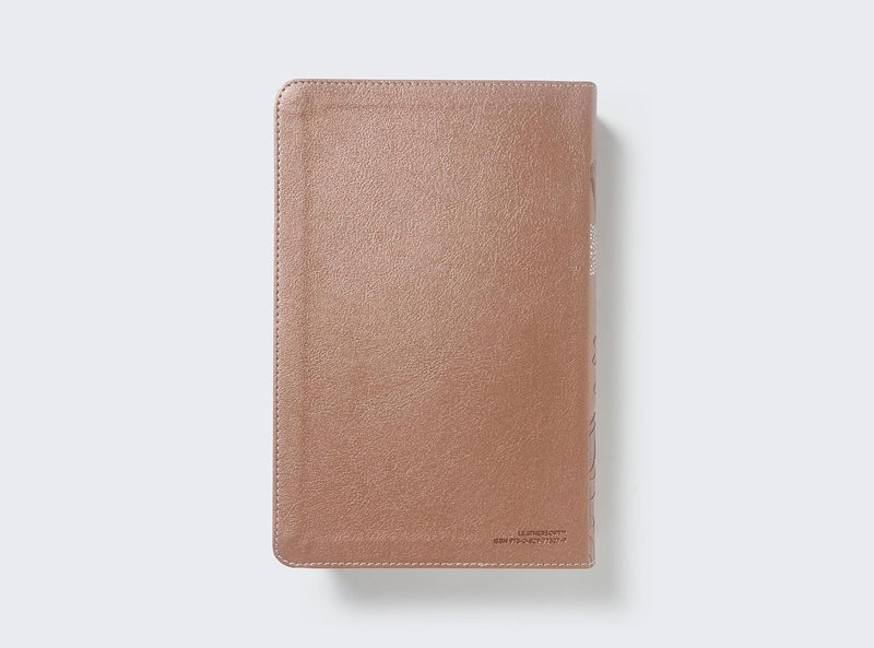 Cargue la imagen en el visor de la galería, Biblia de estudio para jóvenes RVR 1960, imitación piel rosa
