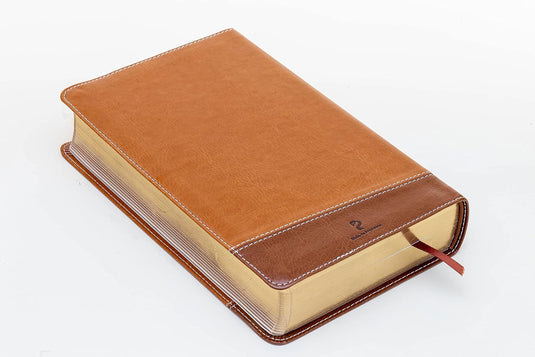 Biblia de Promesas RVR 1960, Jesús para todos, Tamaño Manual, Letra Grande, piel especial café