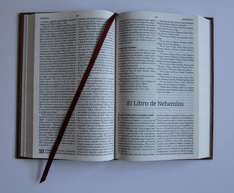 Cargue la imagen en el visor de la galería, Biblia de Jerusalén Latinoamericana, tapa dura marrón, edición de regalo
