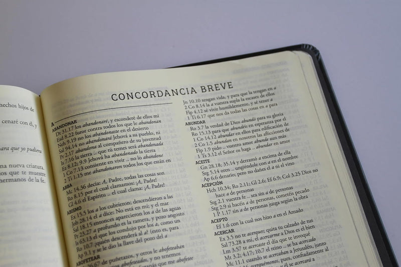 Cargue la imagen en el visor de la galería, Biblia de Apuntes RVR 1960, Tapa dura negra con oro
