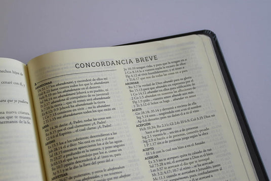 Biblia de Apuntes RVR 1960, Tapa dura negra con oro