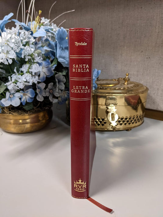 Biblia RVR 1960, Ultrafina,  Letra Grande, Sentipiel rojiza cruz