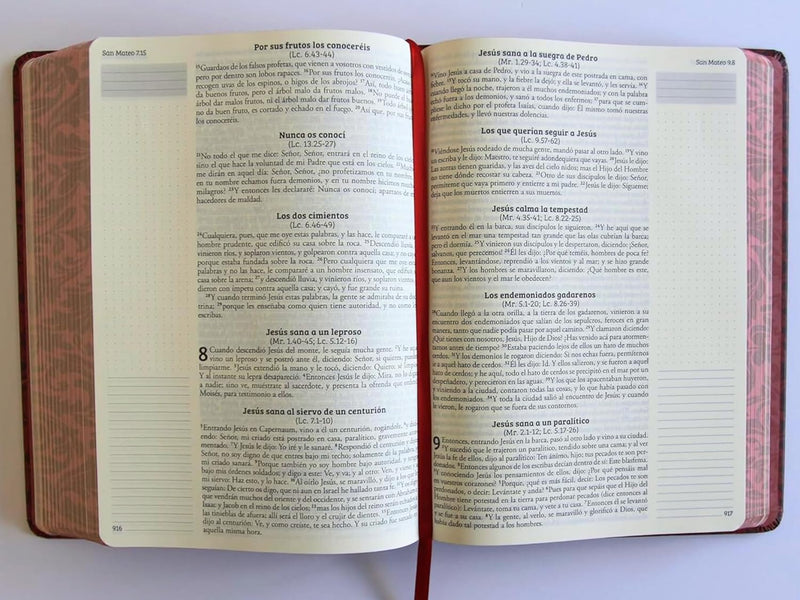 Cargue la imagen en el visor de la galería, Biblia de Apuntes RVR 1960, Tapa dura vino
