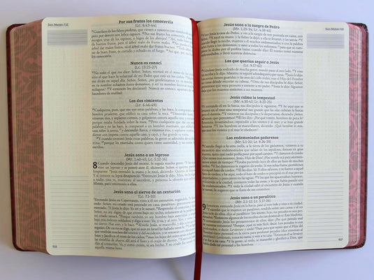 Biblia de Apuntes RVR 1960, Tapa dura vino