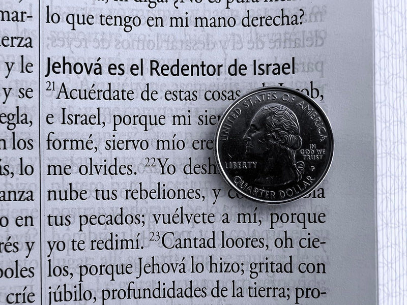 Cargue la imagen en el visor de la galería, Biblia RVR 1960, Tamaño Manual, Letra Gigante, símil piel azul con pájaros
