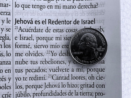 Biblia RVR 1960, Tamaño Manual, Letra Gigante, símil piel verde pájaros