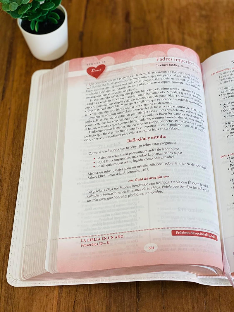 Cargue la imagen en el visor de la galería, Biblia devocional los Lenguajes del Amor RVR 1960, edición blanca con oro rosa

