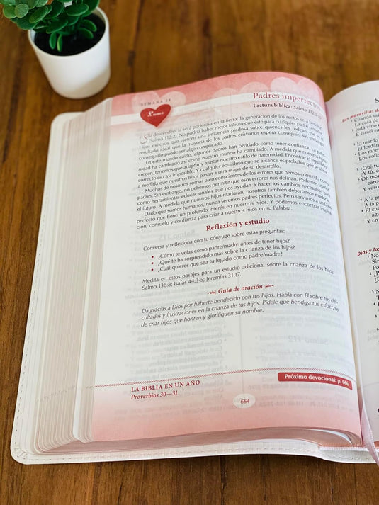 Biblia devocional los Lenguajes del Amor RVR 1960, edición blanca con oro rosa